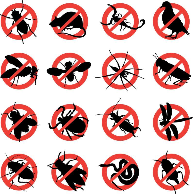 Termite Baiting Systems